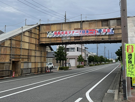 板張養生